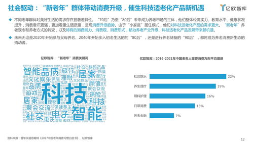 2021中國科技適老化產(chǎn)品研究報告 信息技術(shù)咨詢服務(wù)的引領(lǐng)與賦能